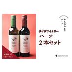 ふるさと納税 ワイン 赤ワイン 山形県 上山市 タケダワイナリー　ハーフ　２本セット　0141-2302