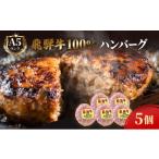 ふるさと納税 肉 ハンバーグ 岐阜県 池田町 飛騨牛 ハンバーグ ロースバーグ 150g×5枚 計750g 飛騨牛100% 和牛 牛肉 ブランド牛 おかず 惣菜 焼くだけ 簡単調…
