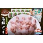 鶏肉 手羽 恵那どり手羽元 5本×8パック