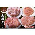 鶏肉 ムネ 恵那どり お試し4種 8パックセット