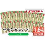 鶏肉 ムネ サラダチキンバー ハーブ 24本