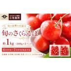 果物類 さくらんぼ 令和9年度 旬のさくらんぼ