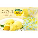 ケーキ カステラ 全3回定期便 レモンケーキ 10個入