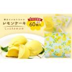 ケーキ カステラ 全6回定期便 レモンケーキ 10個入