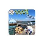 イベントやチケット等 新居弁天海釣公園