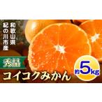 果物類 みかん 秀品 冬のみかん コイコク 恋い告 約5kg