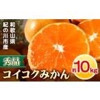 果物類 みかん 秀品 冬のみかん コイコク 恋い告 約10kg