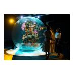 入場券 優待券 AQUARIUM ART atoa
