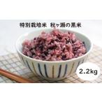 米 特別栽培米10%増量中 秋ヶ瀬の黒米2.2kg 1.1kg×2袋
