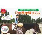 体験チケット ひき馬体験 4名様分_01540