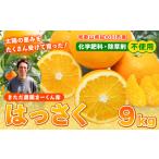 みかん 柑橘類 まーくん家の八朔 約9kg