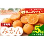 ふるさと納税 みかん・柑橘類 和歌山県 紀の川市 みかん 訳あり/ご家庭 先行予約 和歌山県産みかん 約5kg サイズ混合 サンファーム《10月上旬-1月下旬頃出荷…