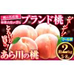 ふるさと納税 和歌山県 紀の川市 あら川の桃 約2kg(6-8玉入り) お届け時期に合わせた品種を厳選してお届けします!《6月中旬-8月中旬頃出荷》｜桃 もも フルー…