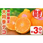 ふるさと納税 みかん・柑橘類 鹿児島県 さつま町 s319 先行予約受付中 2026年2月上旬より順次発送予定 《期間・数量限定》大将季デコ(約3kg) 鹿児島 国産 九州…