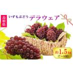 ふるさと納税 果物類 ぶどう 島根県 出雲市  2026年6月以降発送 いずもぶどうデラウェア 約1.5kg 7-8房 美味しい 先行予約 フルーツ 果物