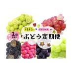ふるさと納税 果物類 ぶどう 岡山県 真庭市  産地直送 2026年の予約です 岡山シャインマスカット＆マイハート入り 新鮮ぶどう定期便 ２.４ｋｇ(４〜６房)　２…
