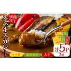 加工品等 レトルト 大分地鶏豊のしゃも地鶏出汁スパイスカ…