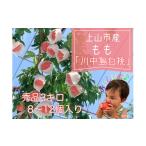 ふるさと納税 もも 山形県 上山市 桃(川中島)3kg 0120-2501