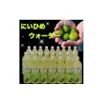 果汁飲料 乾いたカラダを潤す にいひめウォーター 510ml