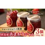 ふるさと納税 ジャム いちご 福岡県 糸島市 先行予約 糸島産 あまおう ジャム 180g × 3個 2026年1月中旬以降順次発送 《糸島》 南国フルーツ株式会社 AIK001…