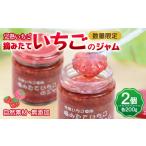 ジャム いちご 完熟朝摘みいちごのジャム