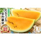 ふるさと納税 スイカ 福井県 あわら市 先行予約 大玉スイカ『金色羅皇』(7kg以上 1玉入) スイカ史上 最高糖度 / 期間限定 果物 フルーツ 産地直送 すいか …
