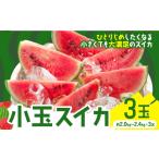 メロン 小玉スイカ 3玉