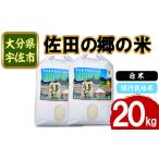 米 ヒノヒカリ 令和7年産 ひのひかり 玄米 計20kg