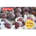 果物類 プルーン 1.2kg
