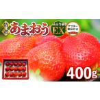 ふるさと納税 いちご 福岡県 久留米市 特選あまおう 400g_数量限定 いちご エクセレント 厳選 あまおう 400g 特別栽培 EX 認定農家 大きい うるう農園 福岡県 …