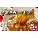 鶏肉 カレー シチュー はかた地どり 手羽元カレー
