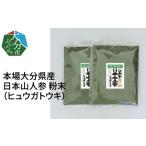 健康食品 日本山人参 ヒュウガトウキ 粉末
