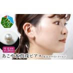 アクセサリー ピアス あこや本真珠ピアス
