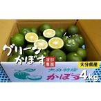 みかん 柑橘類 かぼす 4kg