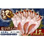 干物 アジ 減塩 訳あり 一夜干しセット 計1.7kg