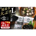 魚貝類 しじみ 地元でも入手困難なレアサイズ