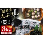 魚貝類 しじみ 地元でも入手困難なレアサイズ