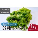 野菜類 レタス 洗わず食べられる 室内水耕栽培