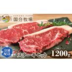 国分牧場 ステーキセット