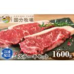 国分牧場 ステーキセット