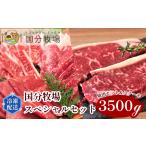 牛肉 ステーキ 牛 国分牧場 スペシャルセット