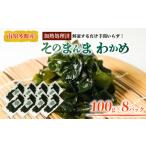 のり 海藻 わかめ 真空 そのまんま 100g