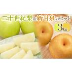 ふるさと納税 梨 鳥取県 北栄町 284. 先行予約 二十世紀梨と新甘泉のセット|梨 なし 二十世紀梨 新甘泉 しんかんせん 2025年8月下旬〜9月下旬頃に順次発送…
