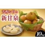 ふるさと納税 梨 鳥取県 北栄町 288.新甘泉(しんかんせん)10kg(JA) 2025年8月下旬〜9月上旬頃に順次発送予定
