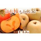 ふるさと納税 梨 鳥取県 北栄町 337. 先行予約 富有柿と王秋梨のセット 秀 4kg以上〜4.5kg未満 2025年11月上旬〜12月上旬頃に順次発送予定