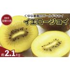 ふるさと納税 果物類 徳島県 吉野川市 ゴールドキウイ 先行予約 約2.1kg 2025年11月上旬〜発送 イエロージョイ キウイフルーツ キウイ フルーツ イエロージョ…