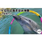 体験チケット イルカとあそぼぉ体験 ペア