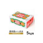 蒲郡温室みかん 5kg