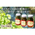 加工品等 D184 山口徳地のわさび漬け2種3本セット
