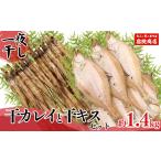 干物 香住産 一夜干し 干カレイと干キスセット